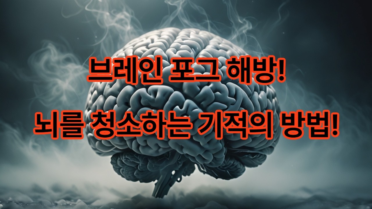 당신의 뇌는 로그아웃 중? 브레인포그 완전 해방!