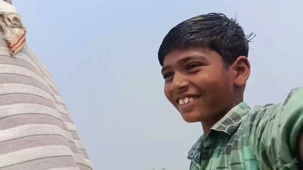 आलू कैसे खोदे? 🥔 | खेत में आलू निकालने का सही तरीका | Potato Harvesting