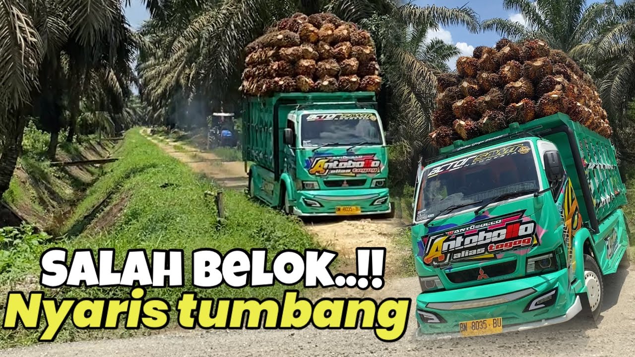 SALAH BELOK..!! Hampir saja Bobo manis