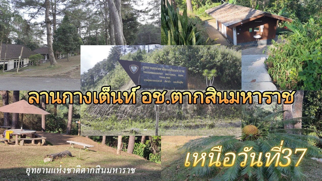 ลานกางเต็นท์ อช.ตากสินมหาราช