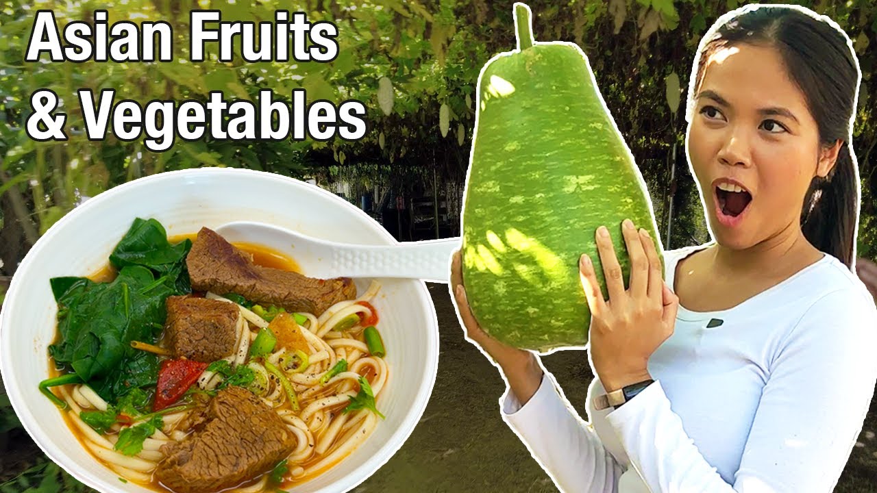 🍎 Touring An Asian Farm + Cooking & Harvesting!