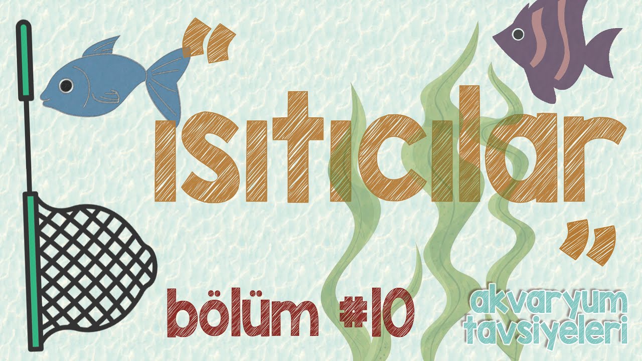 ZET Akvaryum Tavsiyeleri - Bölüm #10 