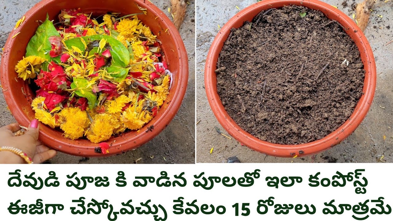 pooja flowers composting | compost by waste flowers | how to compost flowers | organic compost