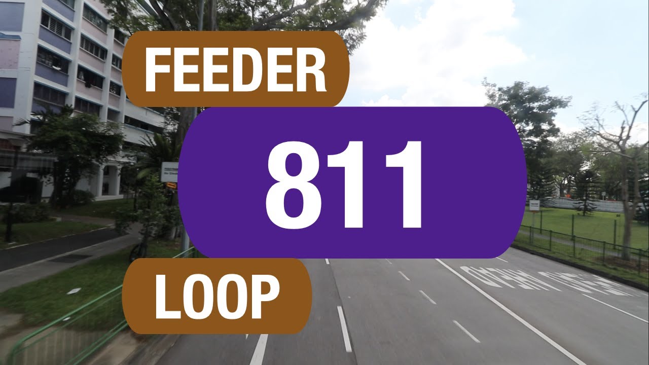 SBS Transit Feeder 811 | Bus Service Route Visual