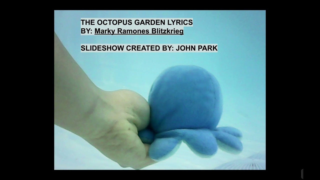 The octopus 🐙 garden 🪴 music 🎶 lyrics 