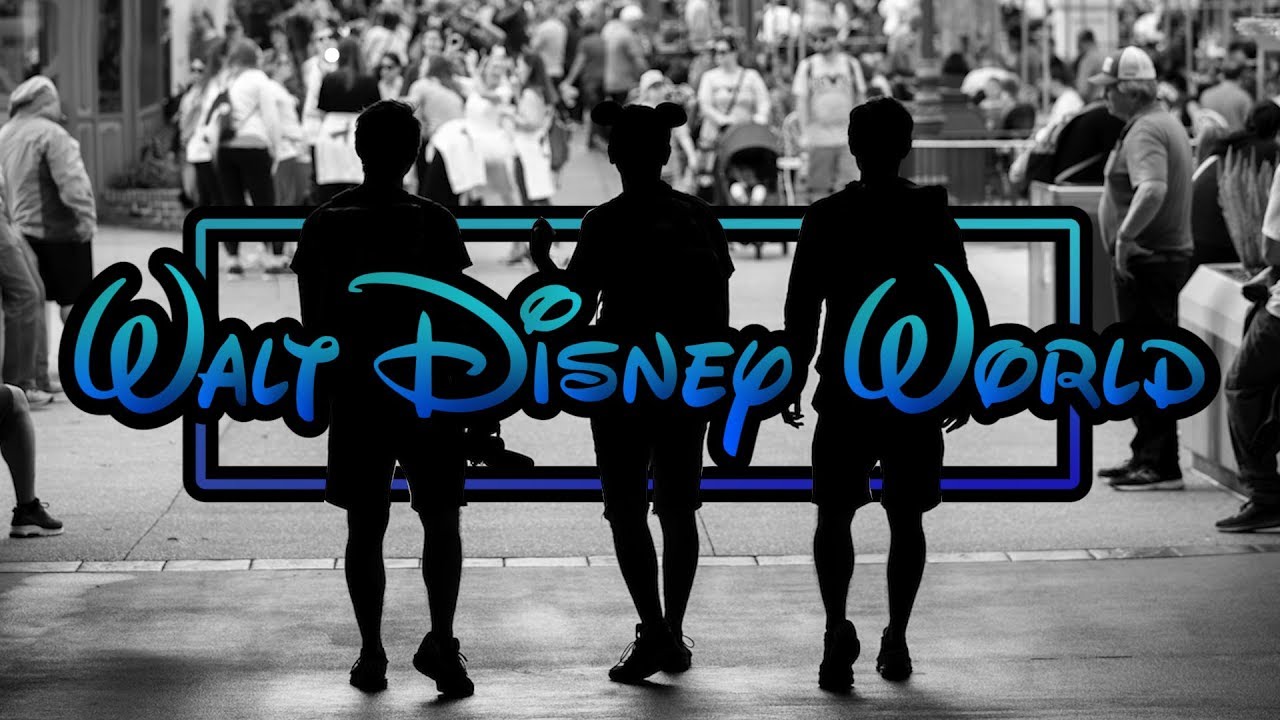 Twins first time at Disney World!