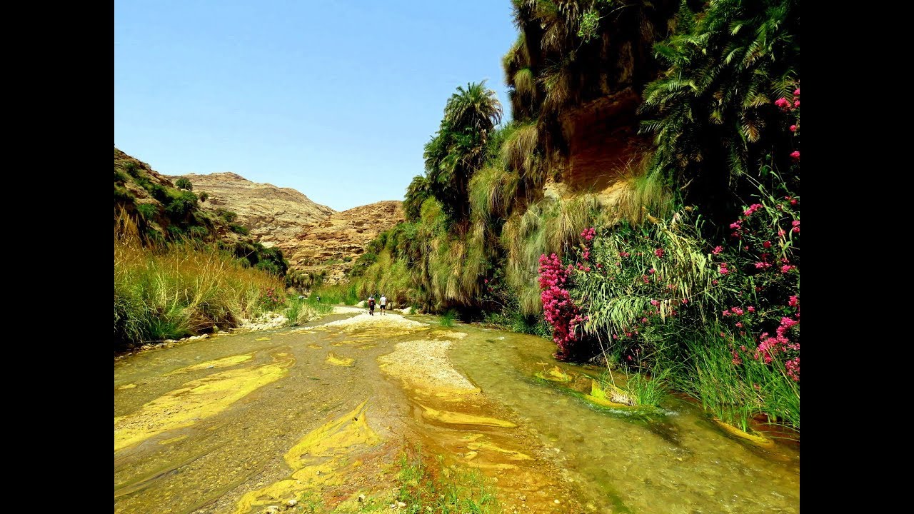 وادي الحسا ما بينتسى Wadi al-Hasa ويقع في المملكة الأردنية من اجمل الأودية