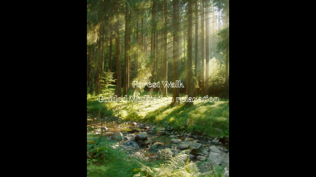 Forest Walk Guided Meditation relaxation