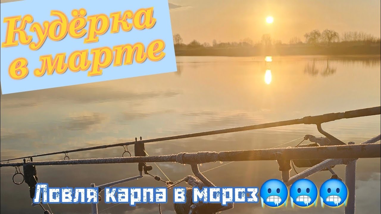 Ловля карпа ранней весной 2024. Зимний карпфишинг в марте. Озеро Кудёрка
