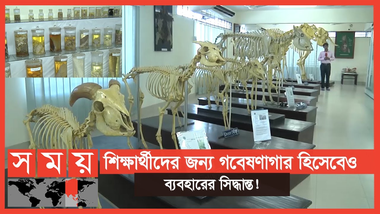 দেশে এই প্রথম তৈরি হলো এনাটমি মিউজিয়াম | Anatomy Museum in Bangladesh | CVASU