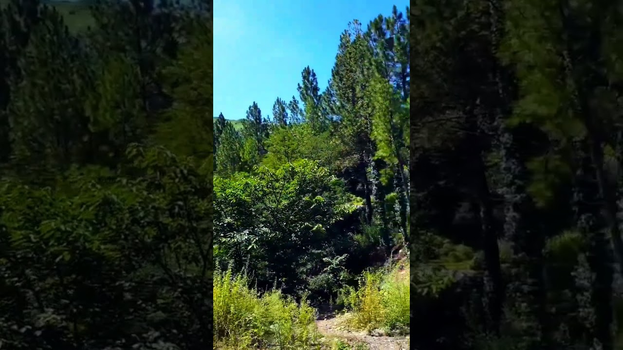Pithoragad 🌄🌄⛰️⛰️⛰️🌳🌳🌳🌲🌲🌲🌴🌴🌿🌿🌱🌱🌱☘️☘️☘️🏞️🏞️🏞️🏞️🏞️🏞️🏞️🏞️🏞️🏞️🏞️🏞️🌈🌈🌈🌥️🌥️🌥️🌏🌏🌏🌏