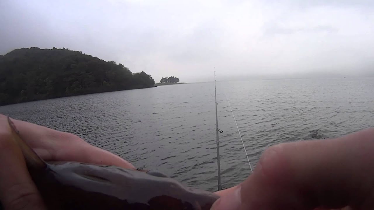 Loch Linnhe cheburashka action.