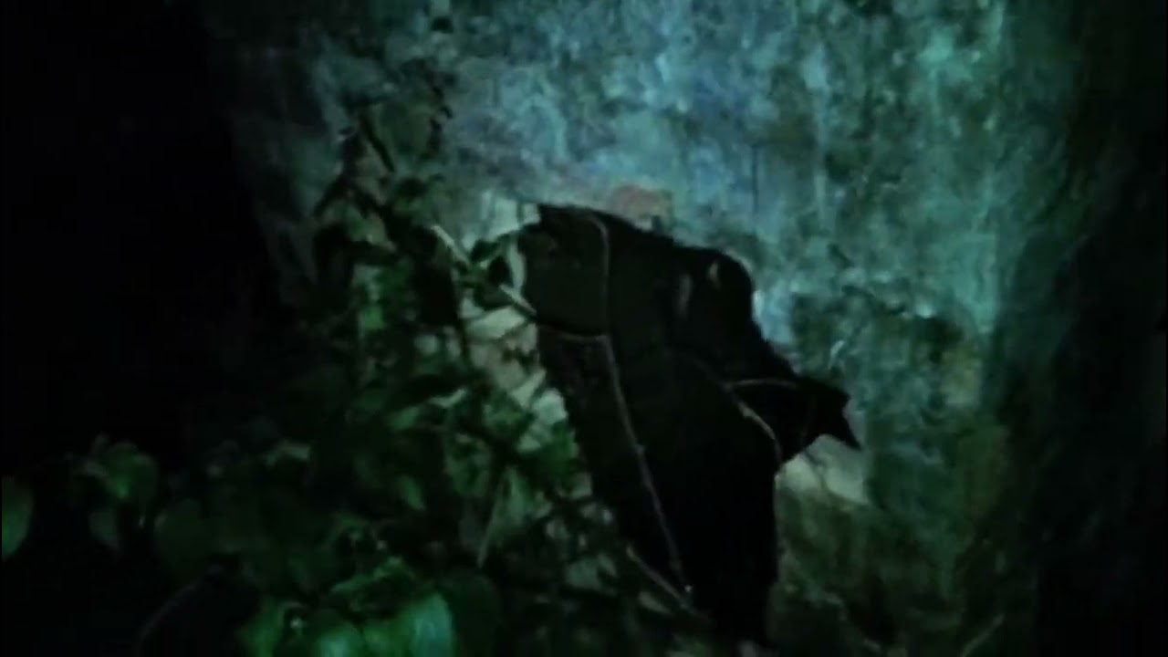 Visitamos uma casa abandonado, e encontramos algo inusitado lá 😱😱