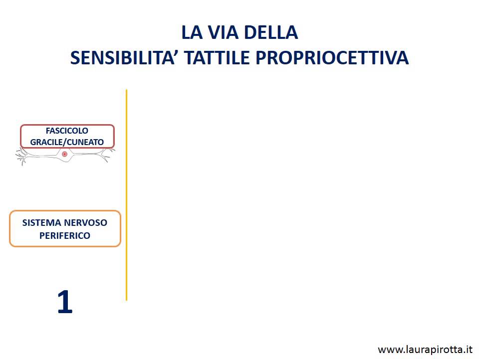 21. Vie ascendenti