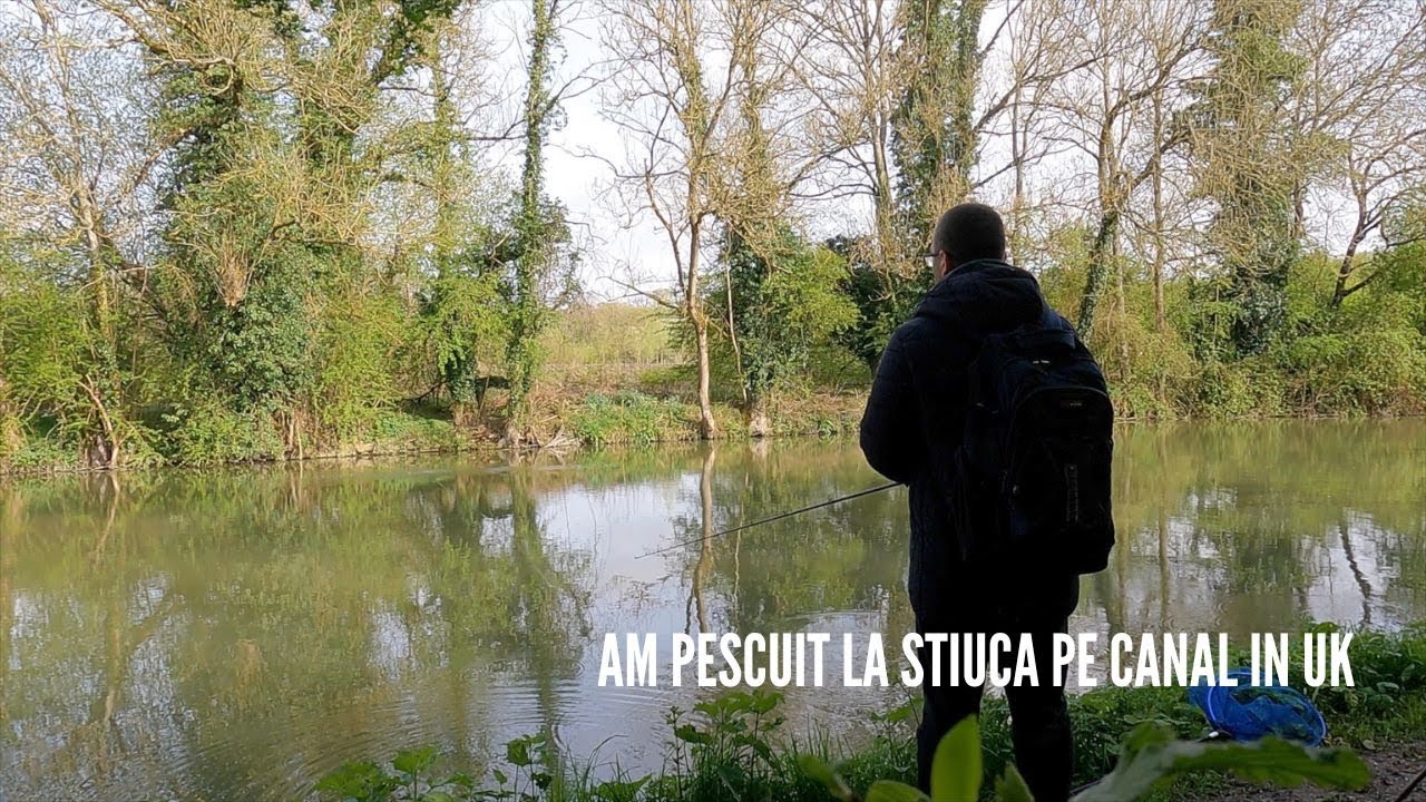 Pescuit la stiuca pe canal in UK : Pike fishing on the canal in UK