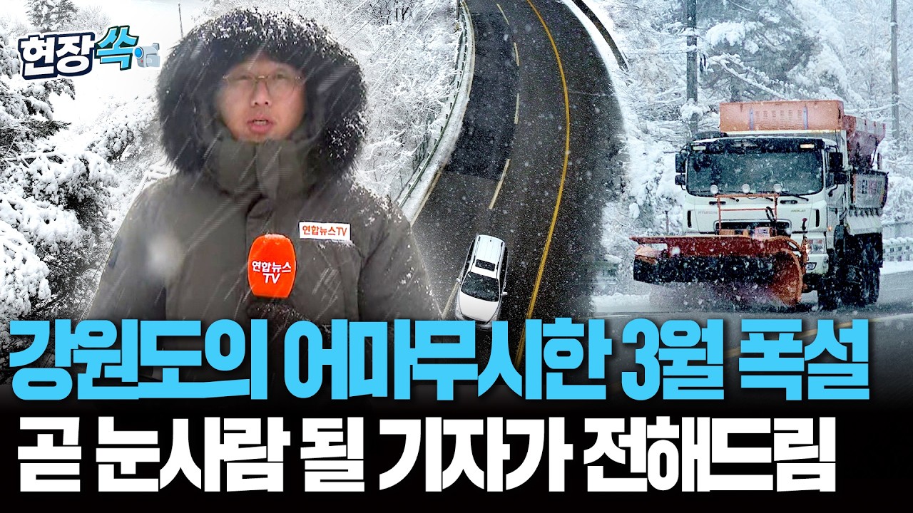 강원도엔 3월에도 폭설이 내린다 너무 많이 내린다 정말 많이…곧 눈사람 될 기자가 전하는 폭설 현장 [현장쏙] / 연합뉴스TV(YonhapnewsTV)