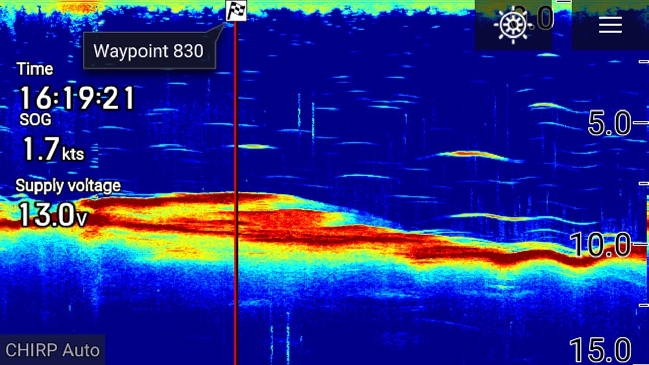 2D Sonar 101