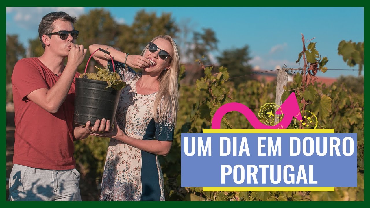 Portugal - DOURO - Passeios de Barco e Vinícola - Vlog Viagem