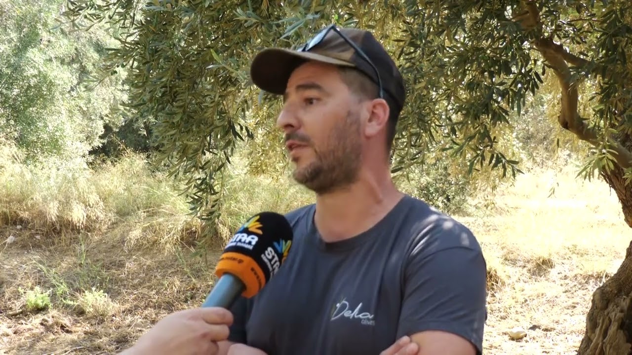 60.000 δέντρα 