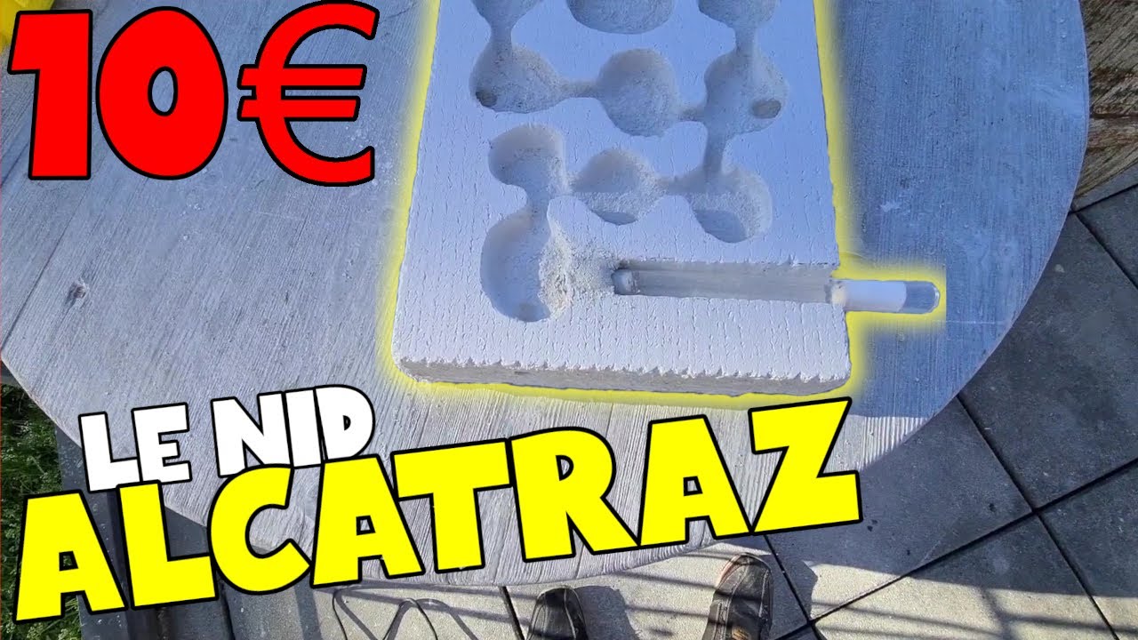 Un NID de fourmis sans déménager vos fondations !