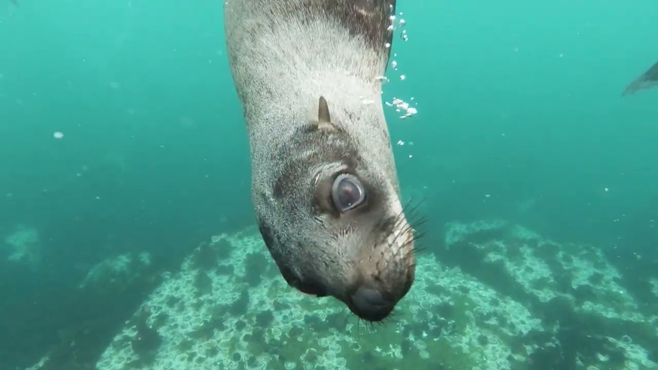 Underwater, Relaxing, Meditation Music