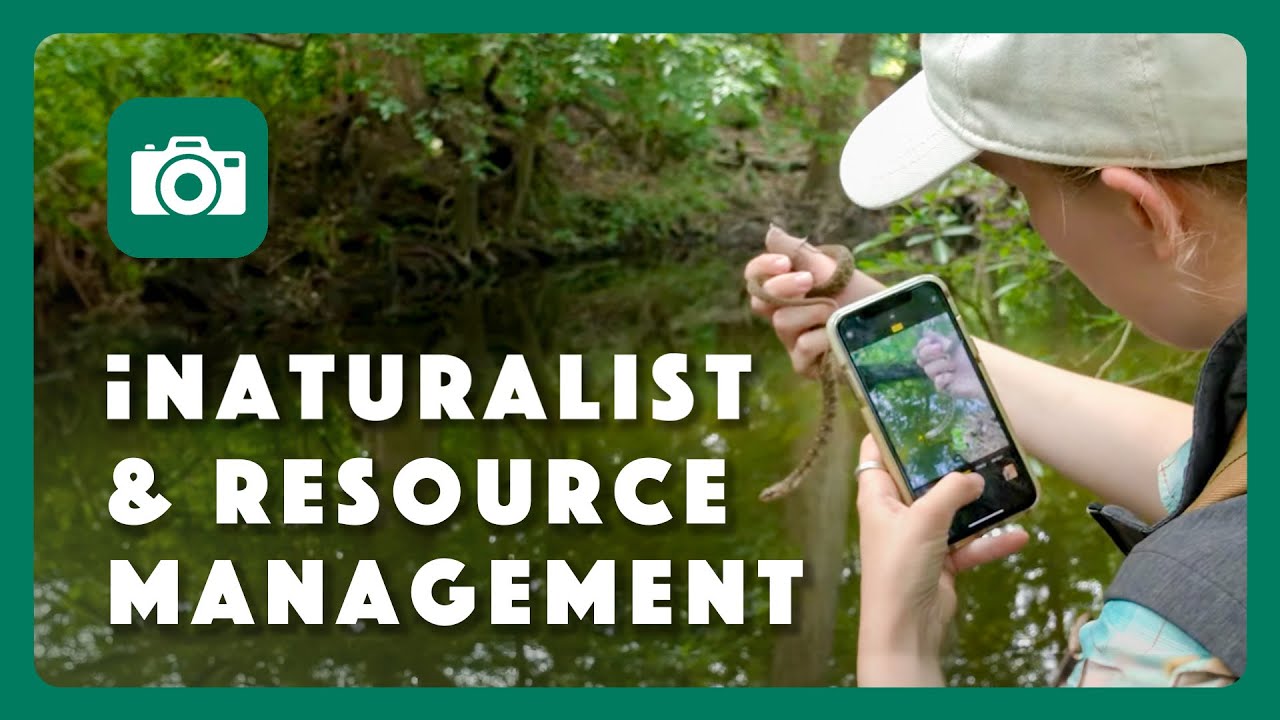 iNaturalist For Natural Resource Management