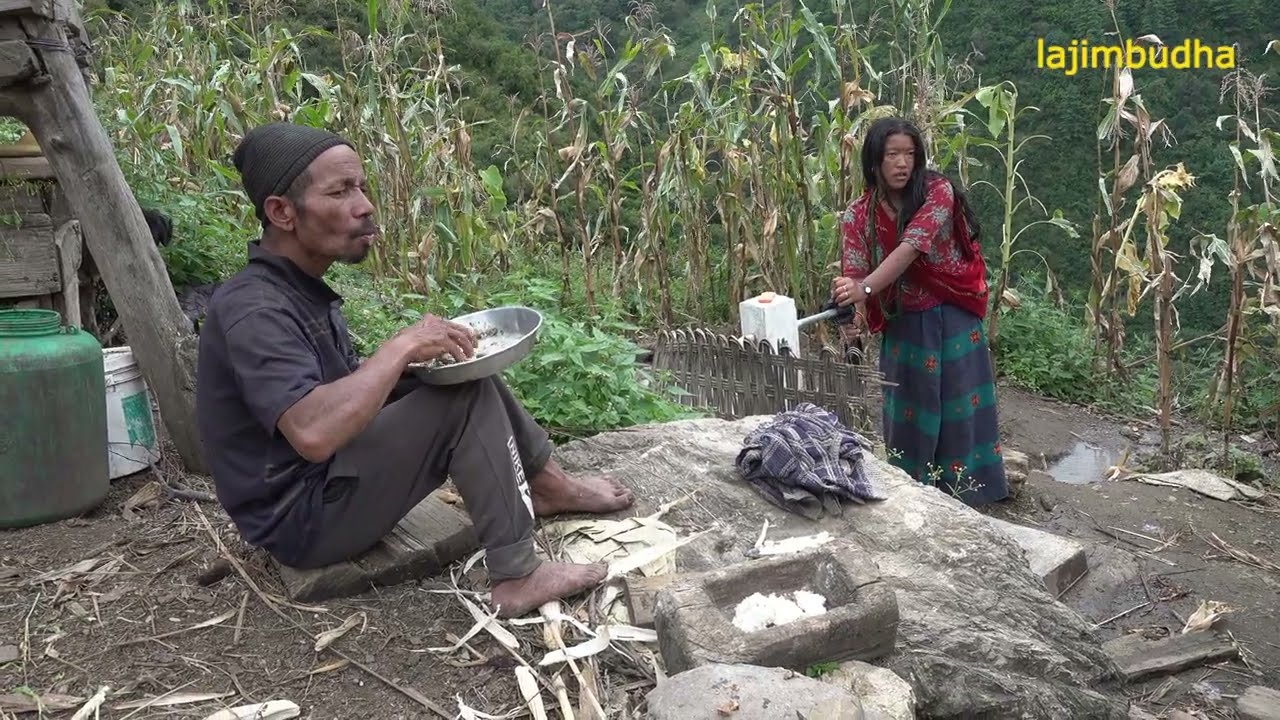 A day in the life of a Himalayan family || lajimbudha ||