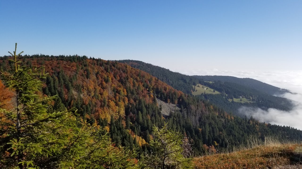 Le Gazon du Faing depuis le col de la Schlucht
