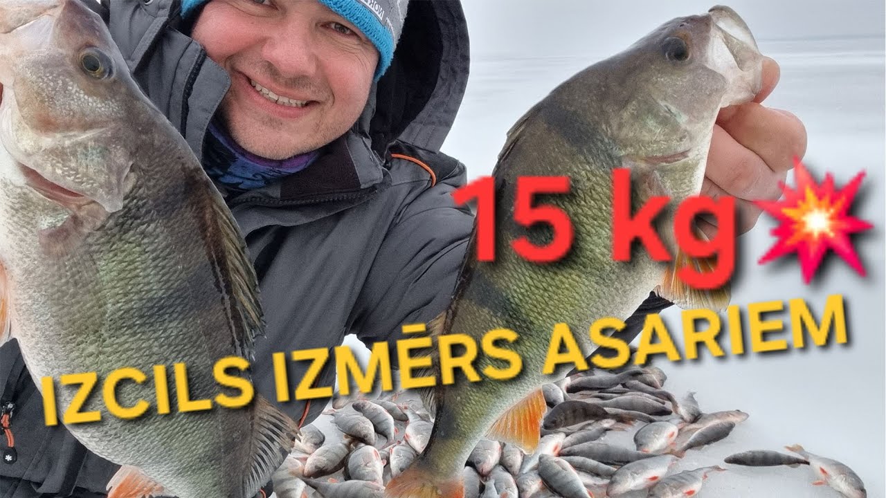 Izcili Peipusa asari 15 kg 23.02.2024