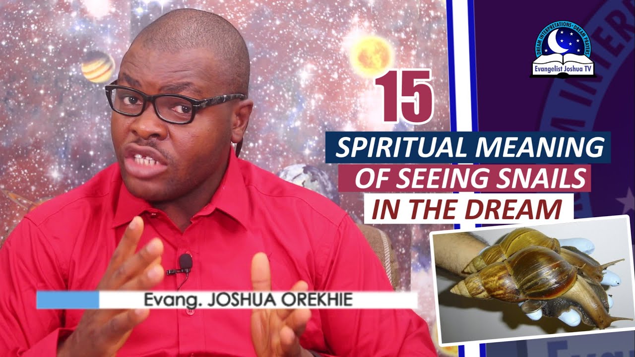 15 ДУХОВНОЕ ЗНАЧЕНИЕ УЛИТОК ВО СНЕ - Сон об улитках