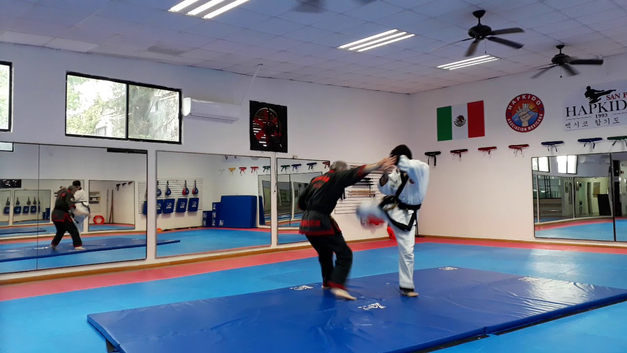 Hapkido San Pedro - Practica de Técnicas Avanzadas