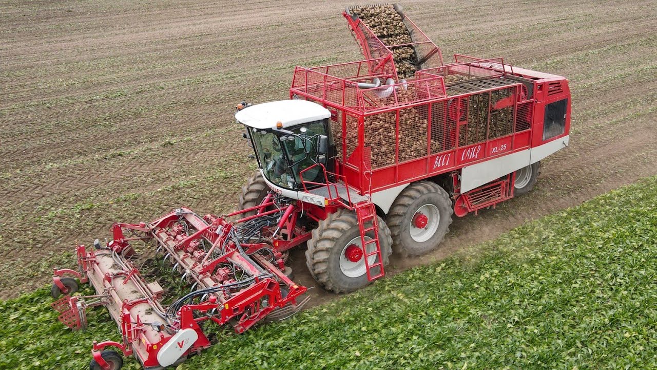 Vervaet Beet Eater XL-25 harvesting sugar beets in Michigan