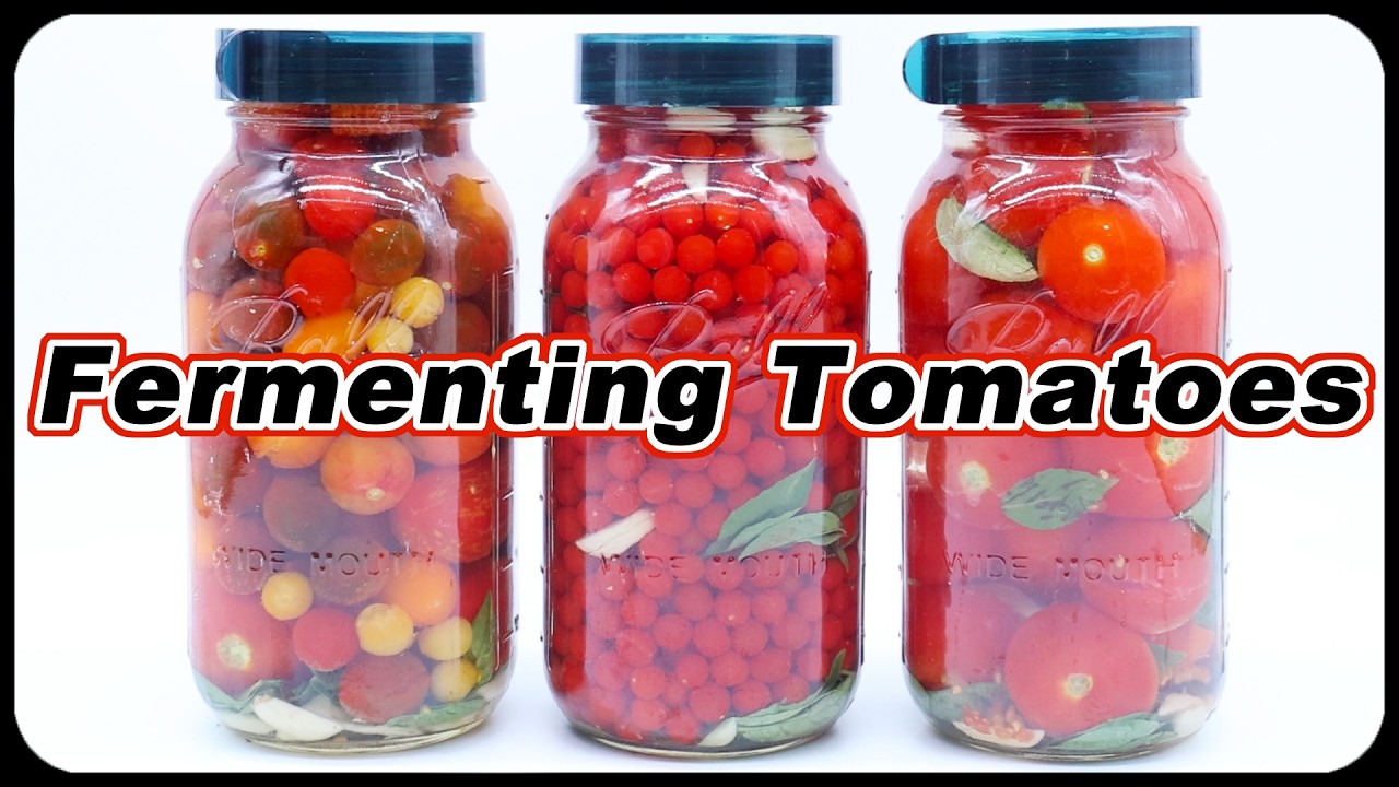 Why You Should Be Fermenting Your Garden Tomatoes - Amazing Flavor & Healthy - Step by Step Guide