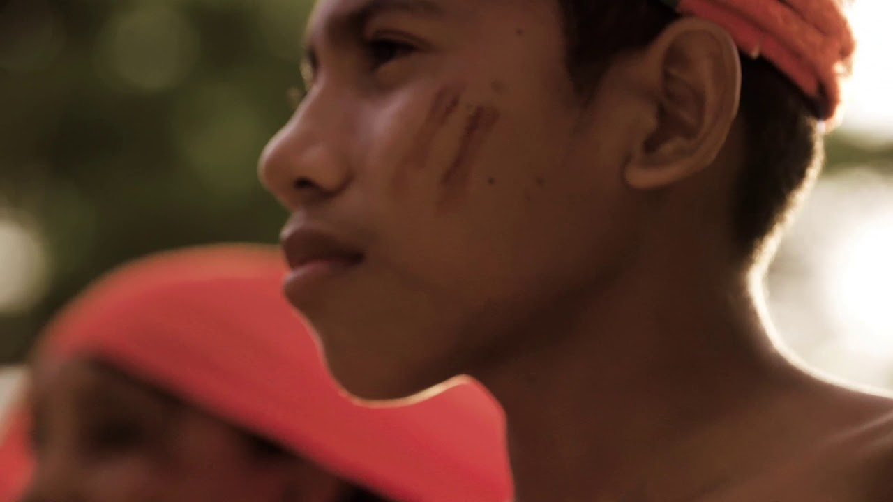 THE BIRDERS  | TRAILER - A Melodic Journey through Northern Colombia