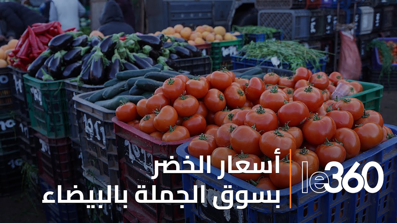 جولة بسوق الجملة بالدار البيضاء.. أسعار الخضر بين الغلاء والوفرة