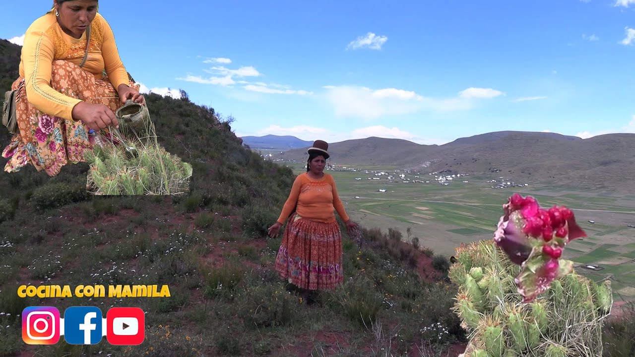 RECOGIENDO AIRAMPO Y MOSTRANDOLO EN EL CERRO -COCINA CON MAMILA