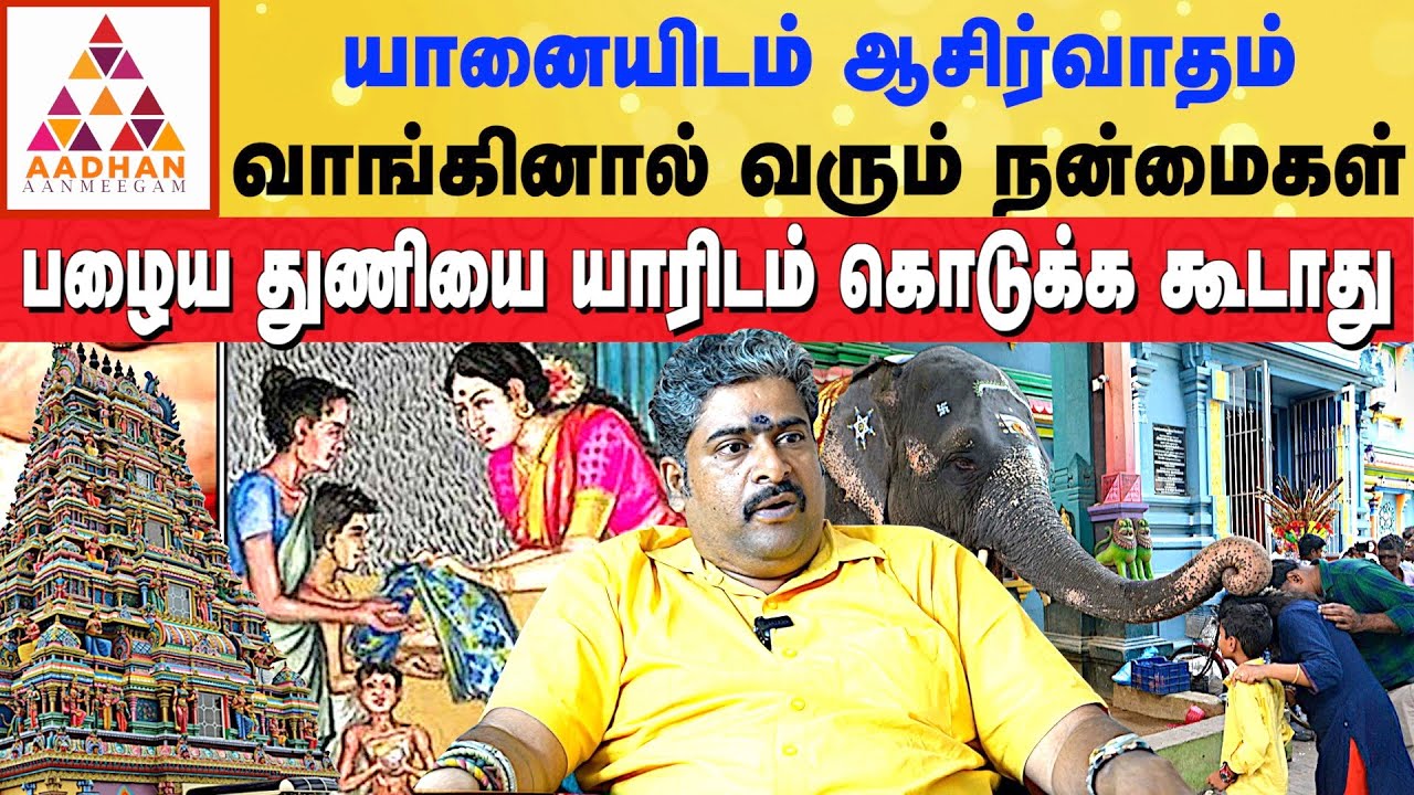 யானையிடம் ஆசிர்வாதம் வாங்கினால் வரும் நன்மைகள் | 