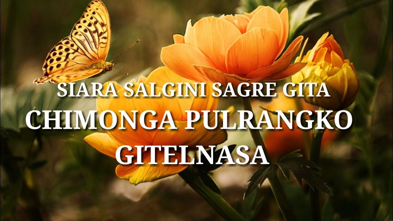 Chimonga Pulrangko Gitelnasa