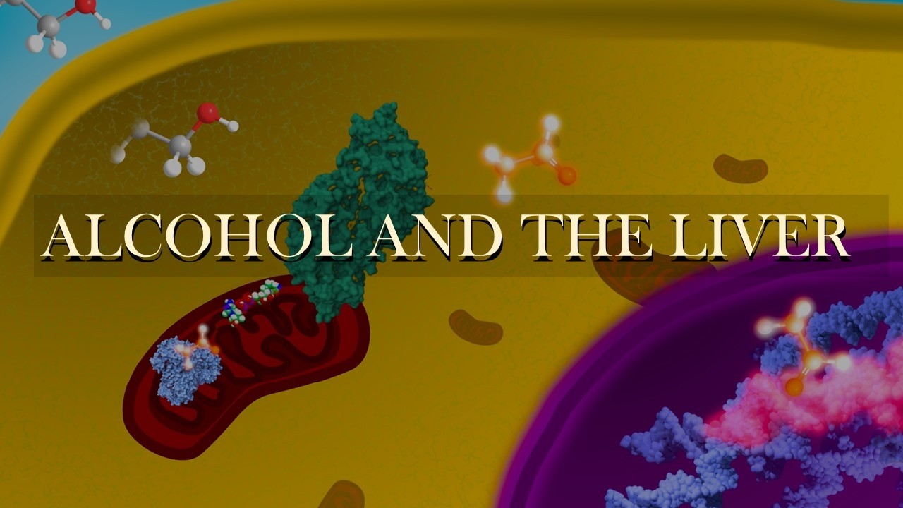 Acetaldehyde: The Toxic Intermediate of Alcohol Metabolism That Destroys the Liver