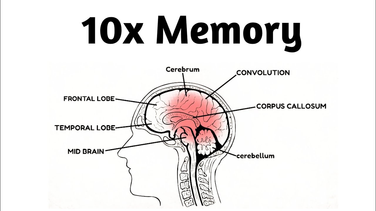 Improve Your Memory in Just 5 Minutes (Backed by Psychology)