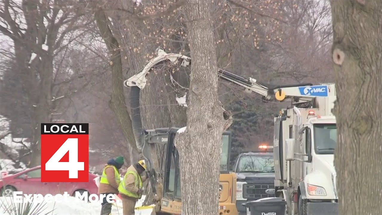 Local 4 News at 6 --  Jan. 28, 2026