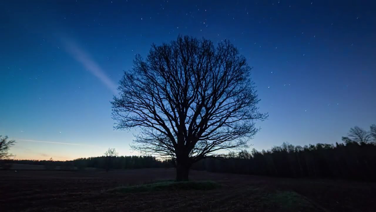 Mesmerizing Timelapse Compilation | 3 Hours of Visual Satisfaction