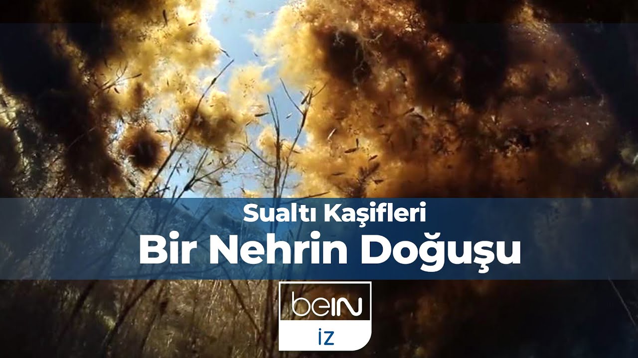 Sualtı Kaşifleri 5. Bölüm | Bir Nehrin Doğuşu