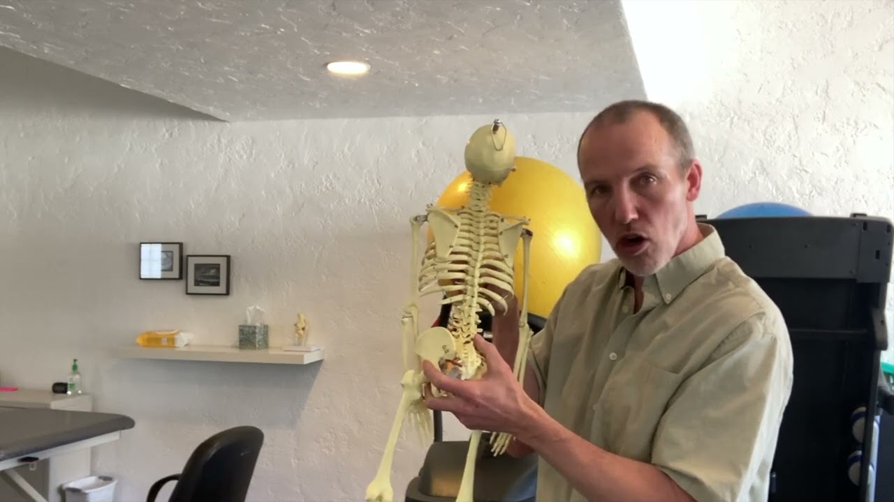 Same-side Upper and Lower Body Pain Explained