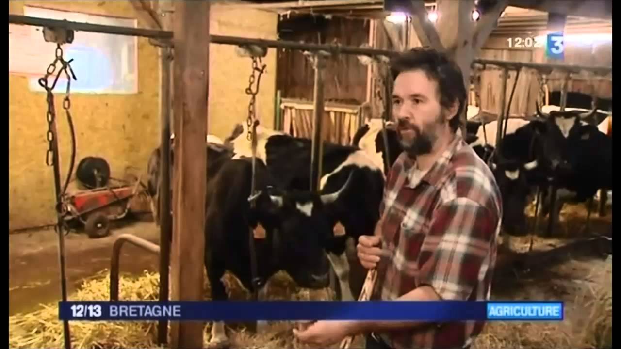 Vincent Thébault, éleveur de Bretonne Pie Noir - 12/13h France 3 Bretagne - 21 février 2014