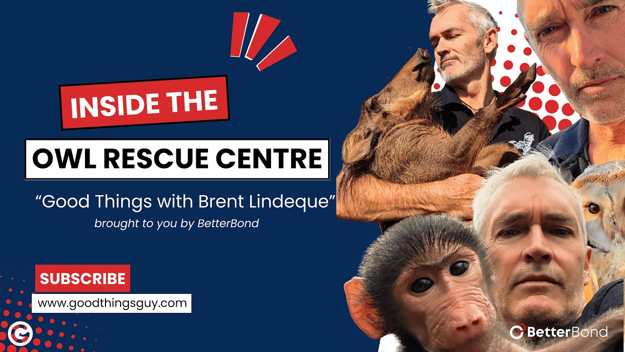 The Owl Rescue Centre Story: A Powerful Podcast Conversation