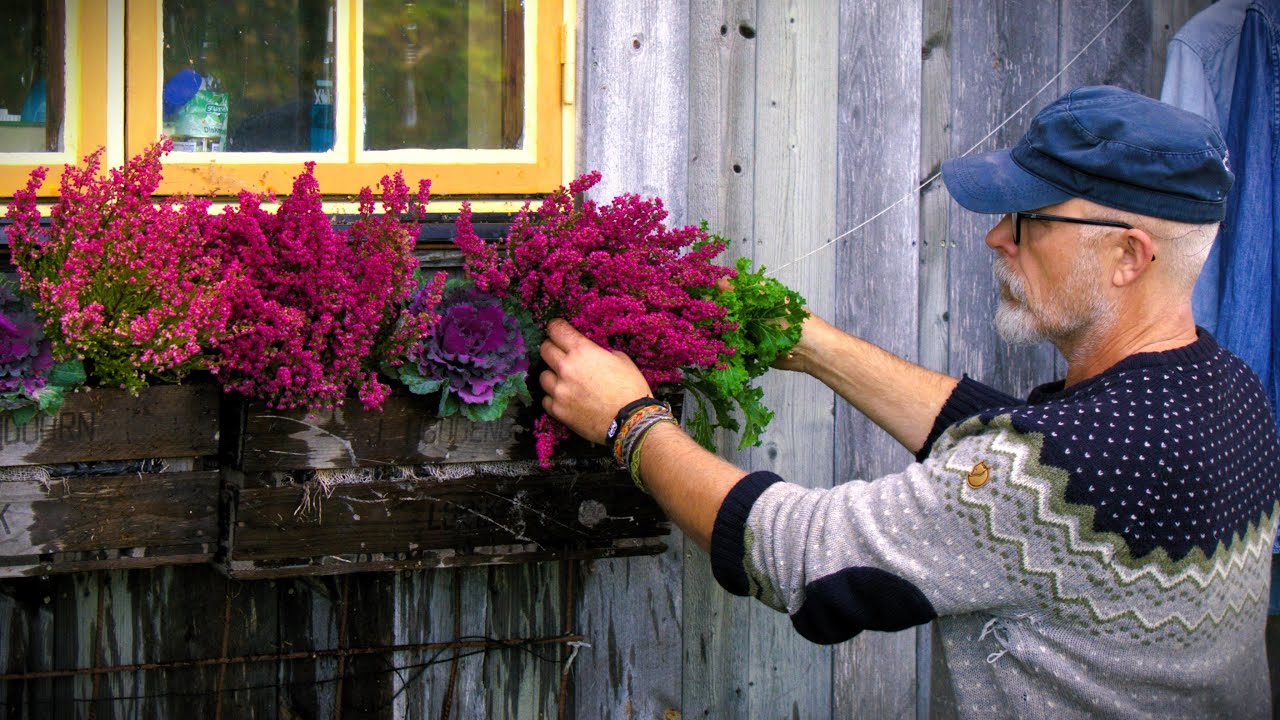A Quiet Autumn by the Lake | Foraging Mushrooms, Homemade Cider & Slow Living