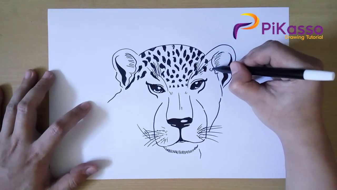 How to Draw a Leopard Head step by step