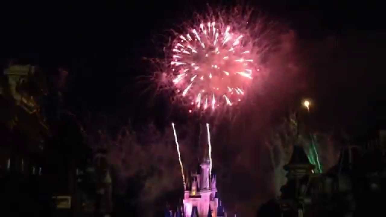 Magic Kingdom 4th of July Fireworks - 2014