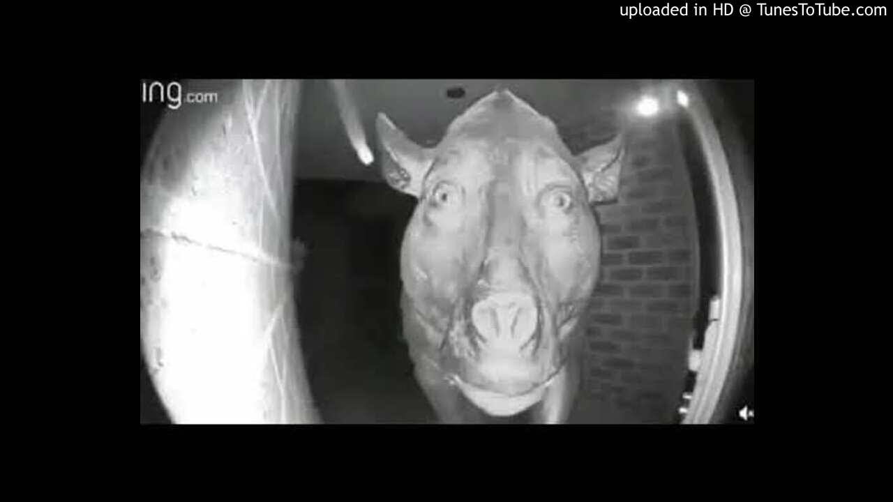 HAHAHAHAHAHAHAHAHAHAHAHAHA ( PROD JACKSON DEBDEBDEBDEBDEBDEB)